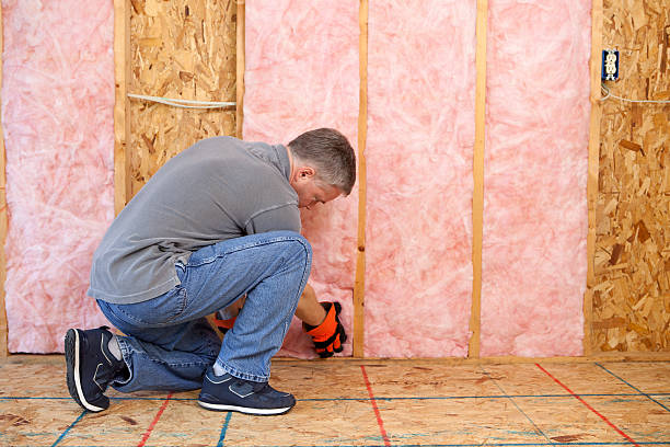 Best Insulation Installation Services in Madison Park, NJ